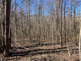 5 Acres Nc Highway 704, Sandy Ridge, NC 27046