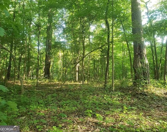0 S Grayson Trail Unit 10527926, Hogansville, GA 30230