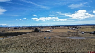 Lot 1 Mancos Ln, Montrose, CO 81403