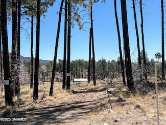 31 Bahamas Dr, Timberon, NM 88350