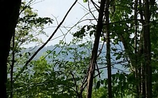 13+AC Shinbone Mountain Rd, Turtletown, TN 37391