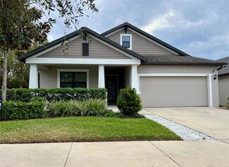 106 Elina Sky Dr, Seffner, FL 33584