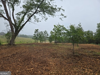 LOT 3 Coweta Heard Rd, Hogansville, GA 30230