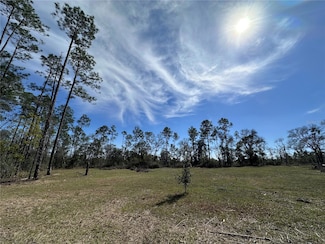 TBD NE 127th Ct, Williston, FL 32696