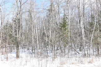 10 Acres Range Line Rd, Glen Flora, WI 54526