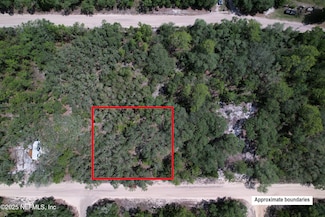 00 Dottie St, Interlachen, FL 32148