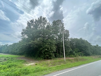 TBD Highway 308 Unit Lot 5, Galivants Ferry, SC 29544