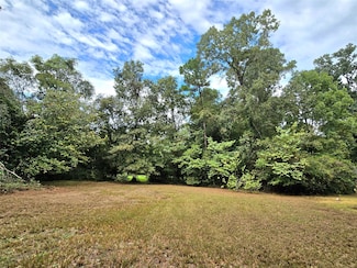 81 E Bishop Rd, Pointblank, TX 77364