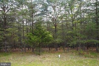 0 Medfords Ln, Berkeley Springs, WV 25411