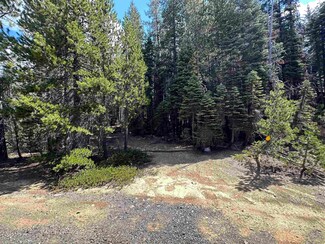 1365 Ararat Dr, Spring Garden, CA 95971