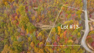Tbd Majestic Lot 13 Dr, Duffield, VA 24244