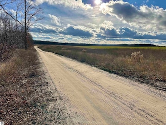 TBD Blackberry Ln, Star Township, MI 49730