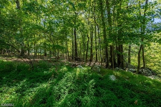 6 Ridge Rd NW, Sussex, NJ 07461