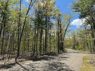 000 E Ridge Dr, Otsego Lake Township, MI 49735