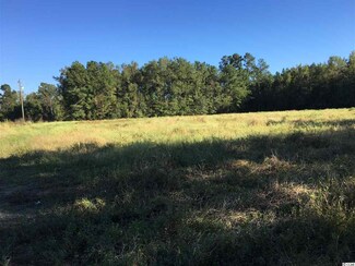 651 S Deerfield Rd, Johnsonville, SC 29555