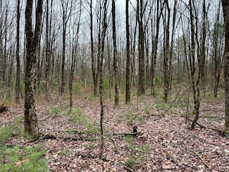 Preston Hill St, Camden, NY 13316