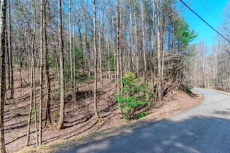 LT 694 Satsuma Ct, Ellijay, GA 30540