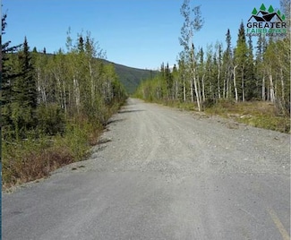 nhn Butch Kuth Ave, Tok, AK 99780
