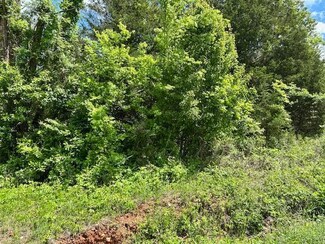 101 Isabella Ln, Horseshoe Bend, AR 72512