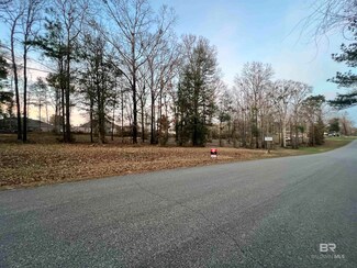 o Gallops Creek Dr, Wilmer, AL 36587