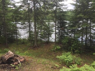TBD S Antler Rd, Bigfork, MN 56628
