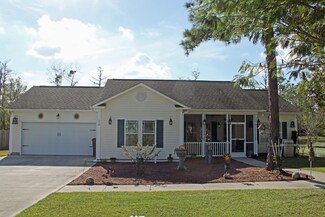 110 Boysenberry Fields Rd, Maple Hill, NC 28454