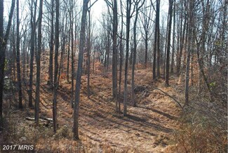 2520 Chapman Ln, Davidsonville, MD 21035
