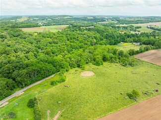 6991 Township Road 555, Holmesville, OH 44633