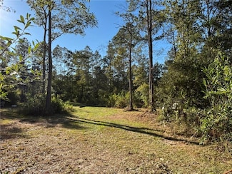 66455 Casey Ct, Pearl River, LA 70452