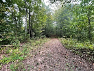 Lt 53 Still Branch Rd, Whittier, NC 28789