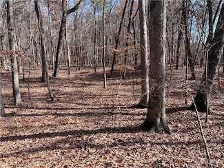 1379 Laurel Mill Trail, Jasper, GA 30143