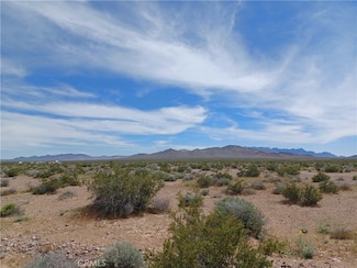 0 Shirley Ln Unit TR24098411, Outside Area (Inside Ca), CA 92389