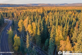 Lot 43 Maude Boyle Dr, Badger, AK 99705