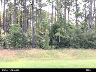 LOT 134 Aspen Dr, Leesburg, GA 31763
