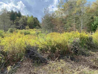 lot 47 Mountain View Cir, Davis, WV 26260