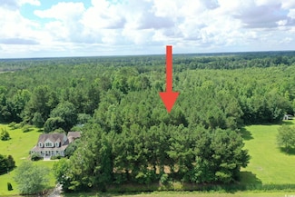 TBD Hamps Rd, Nichols, SC 29581