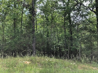 0 Algonquin Cir Unit 23035425, Cherokee Village, AR 72529