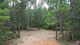 Tract D Whiskey Ln, Tickfaw, LA 70466
