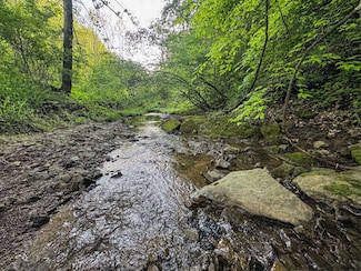 Tbd Right Hand Rd, Pine Grove, WV 26419