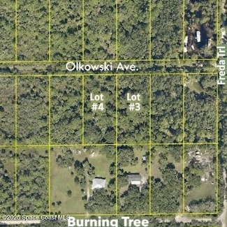 00 Olkowski Ave, West Canaveral Groves, FL 32926