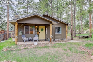 601 Dallas Alley, Woodland Park, CO 80863