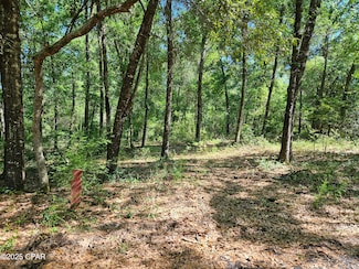 0000 Dove Ct, Chipley, FL 32428