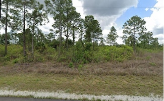 1003 Hines Ave, Alva, FL 33920