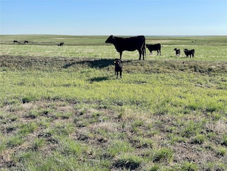 9 County Road 166 Unit 9, Deer Trail, CO 80105