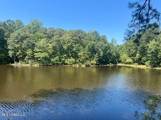 0 County Road 2428, Enterprise, MS 39330