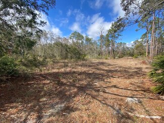 215 Bird Pond Rd, Steinhatchee, FL 32359
