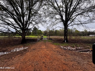 4595 Lucius Taylor Rd, Como, MS 38619