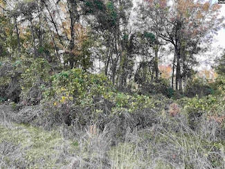 0 Brook Dr Unit 597821, Bamberg, SC 29003