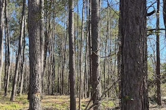 0 Bacontown Rd, Midway, GA 31320