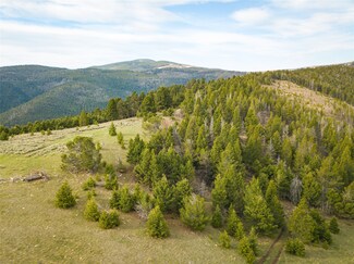 TBD (58+/- Acres) Ottawa Gulch Rd, Canyon Creek, MT 59633